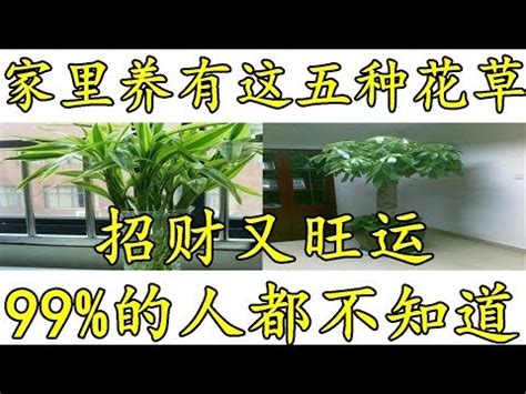 植物風水禁忌|風水禁忌｜客廳擺假花原來係大忌！5個植物風水禁忌+